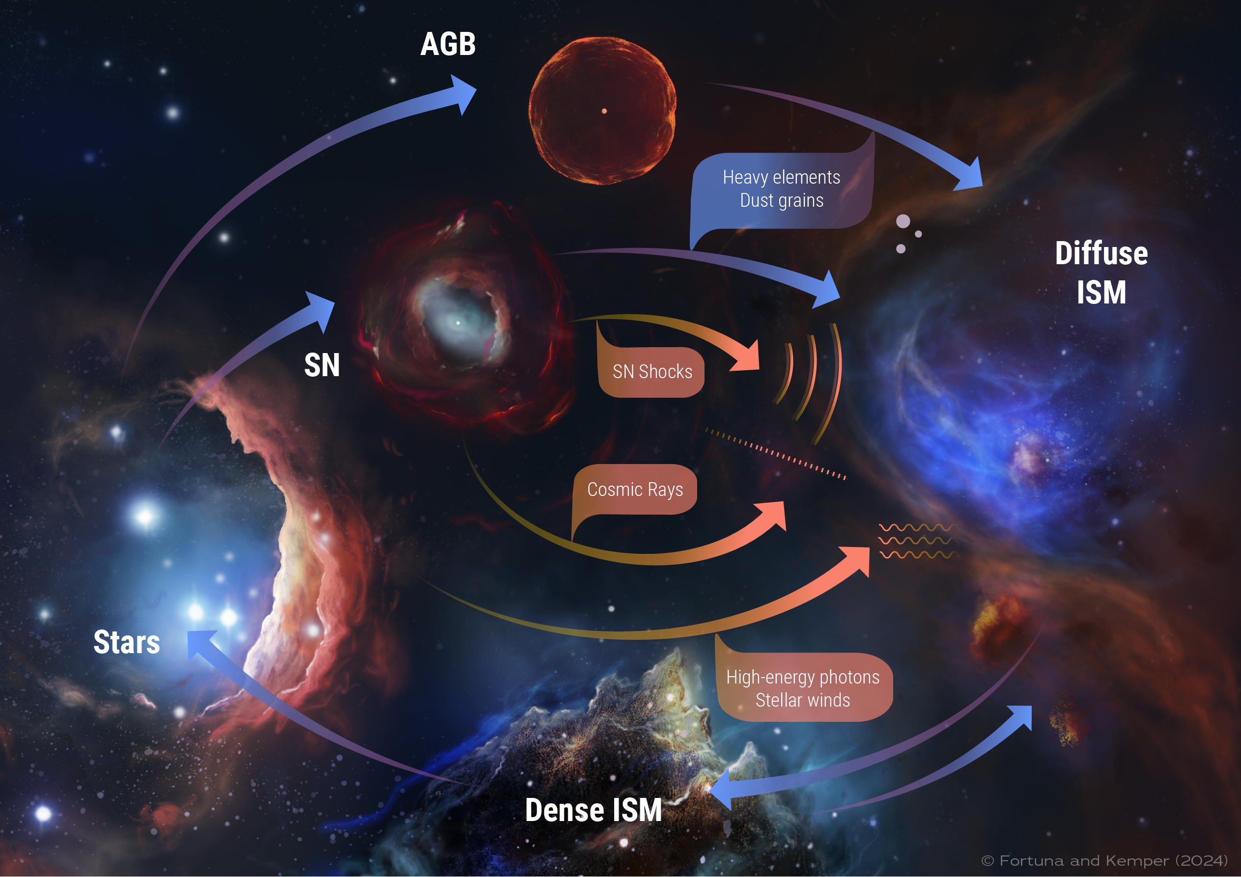 The life cycle of dust 