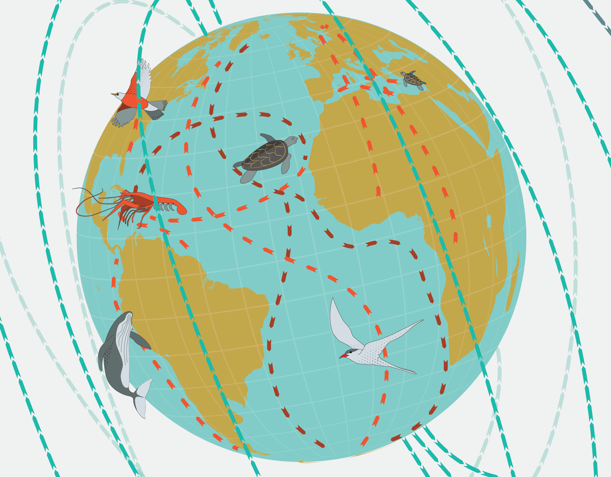 Animal migration and magnetism